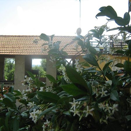 Fattoria Del Pino Orta San Giulio Bagian luar foto