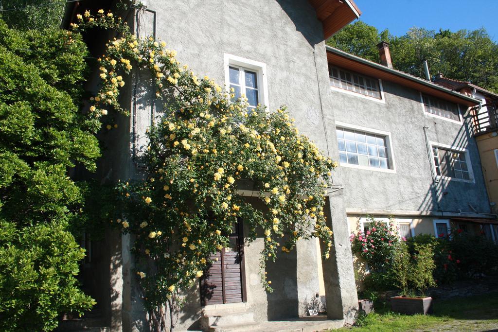 Fattoria Del Pino Orta San Giulio Bagian luar foto