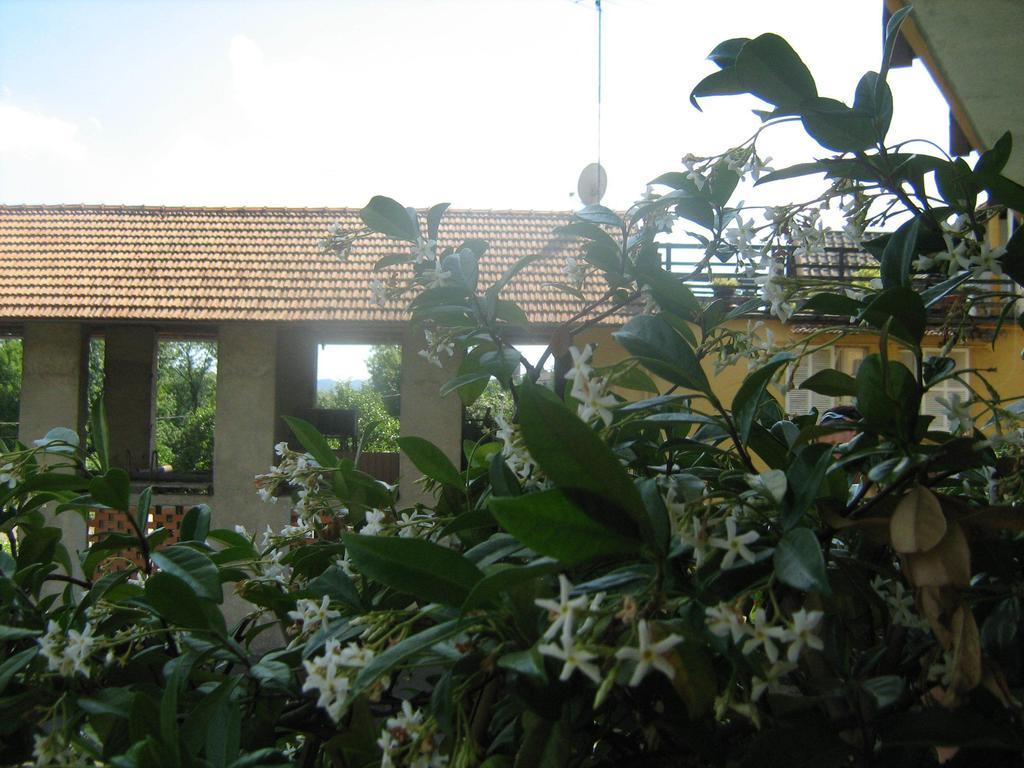 Fattoria Del Pino Orta San Giulio Bagian luar foto
