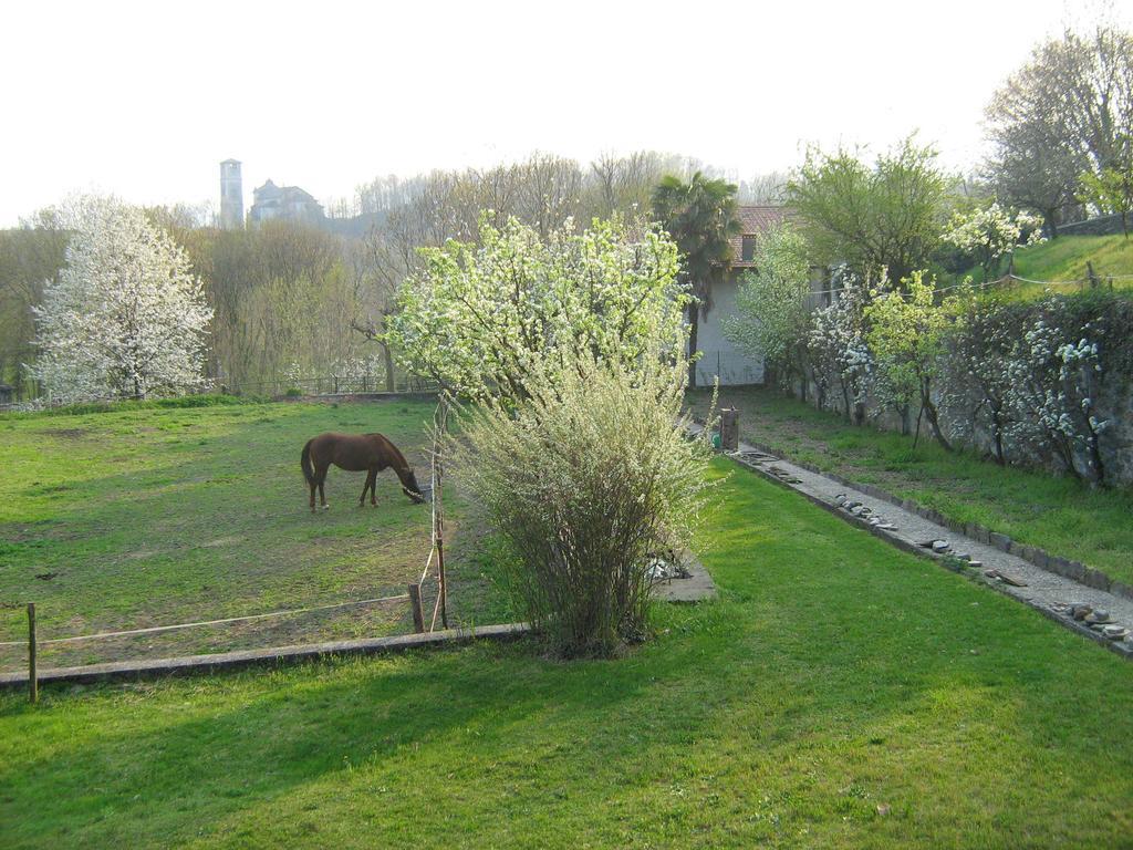 Fattoria Del Pino Orta San Giulio Bagian luar foto