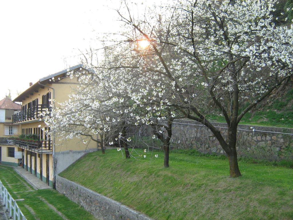 Fattoria Del Pino Orta San Giulio Bagian luar foto